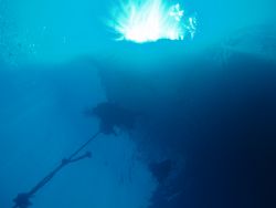 taken at 5m depth, over the El Mina wreck in Red Sea by Jakub Patynek 